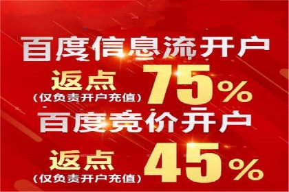 移动支付中充值返点模式探究